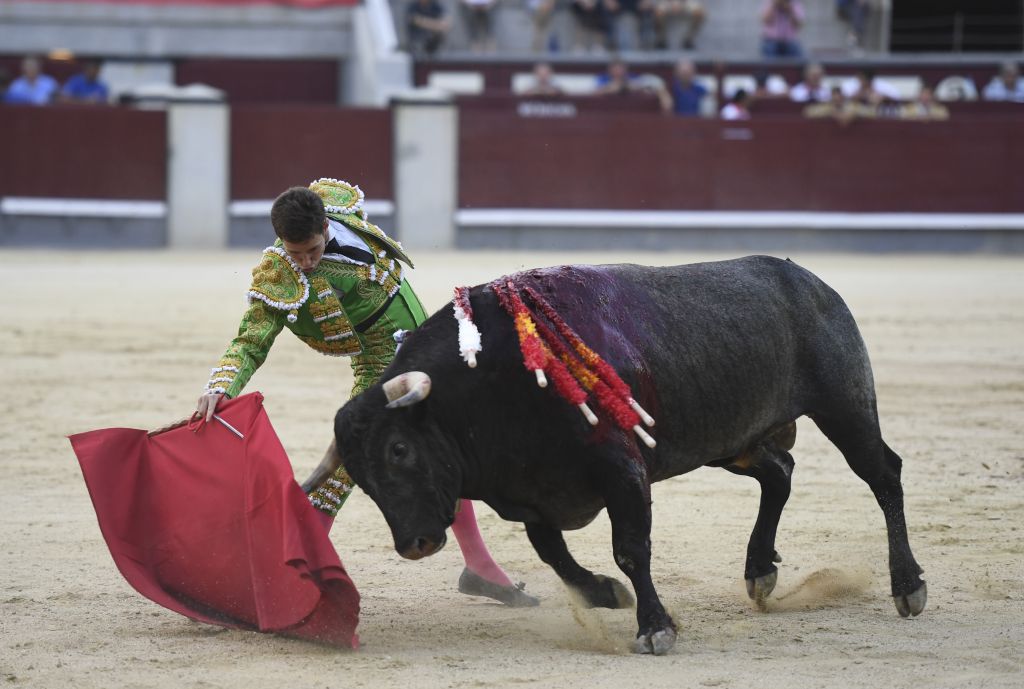 Madrid- Novillada picada - Domingo 3 de septiembre de 2018