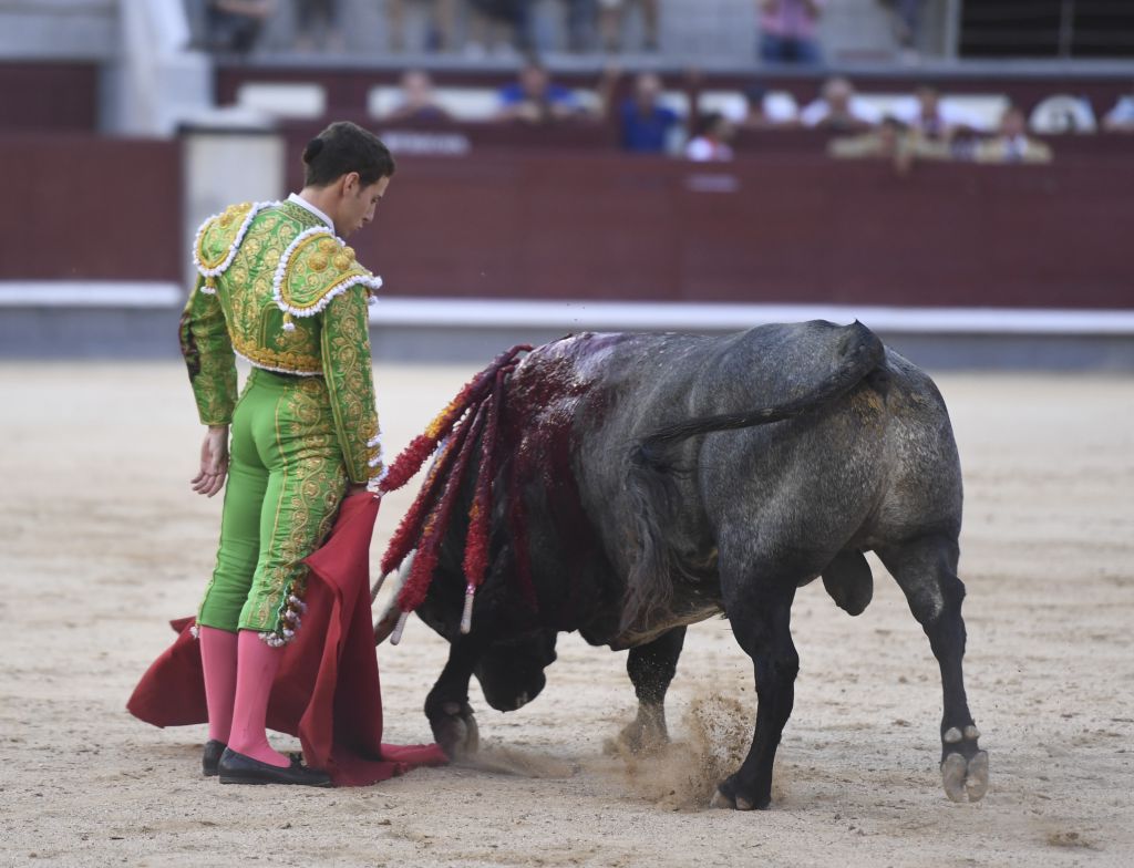 Madrid- Novillada picada - Domingo 3 de septiembre de 2018