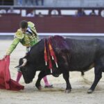 Madrid- Novillada picada - Domingo 3 de septiembre de 2018