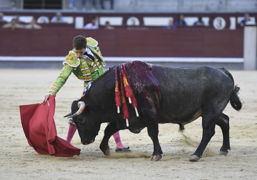 Madrid- Novillada picada - Domingo 3 de septiembre de 2018