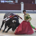 Madrid- Novillada picada - Domingo 3 de septiembre de 2018