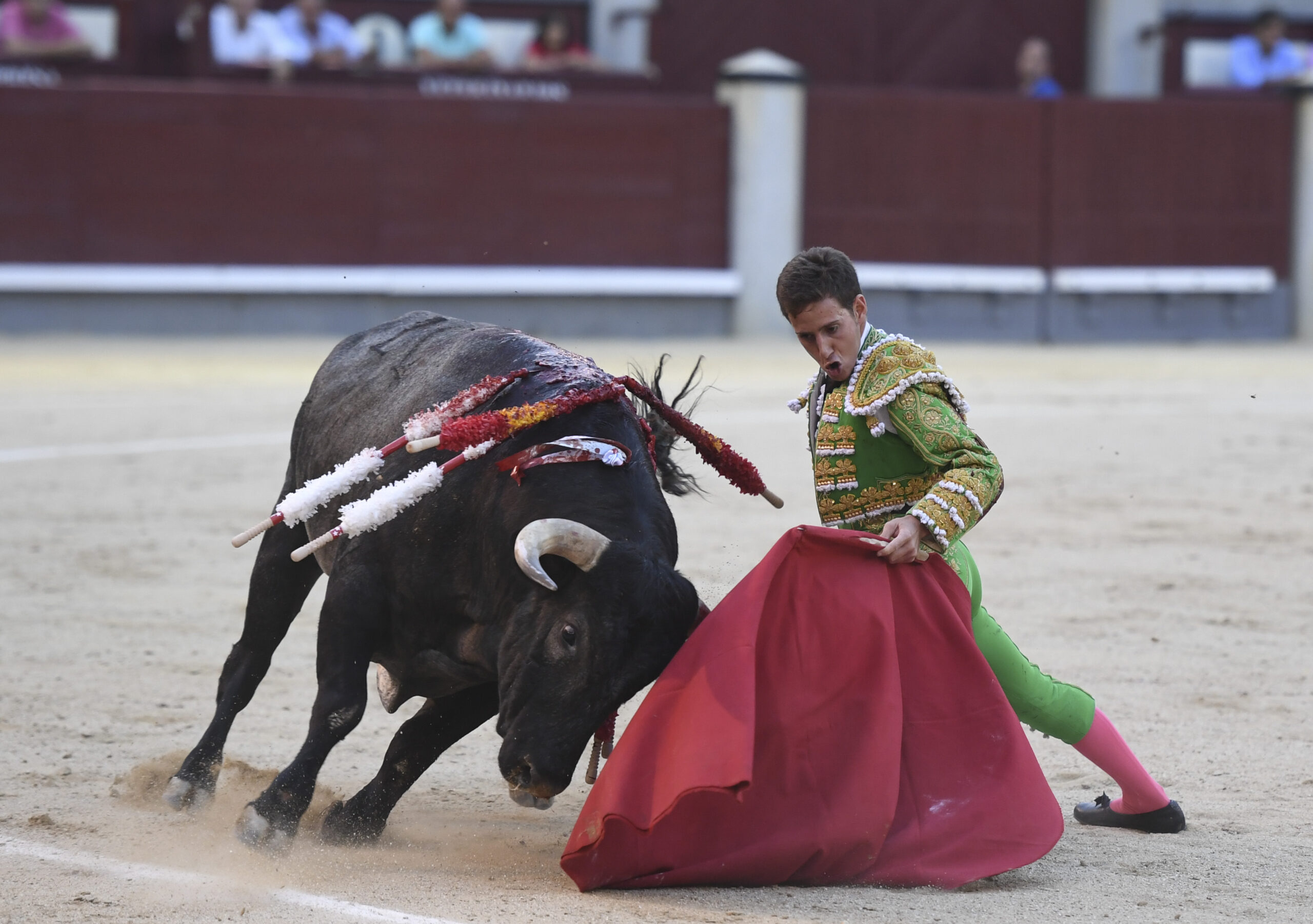 Madrid- Novillada picada - Domingo 3 de septiembre de 2018