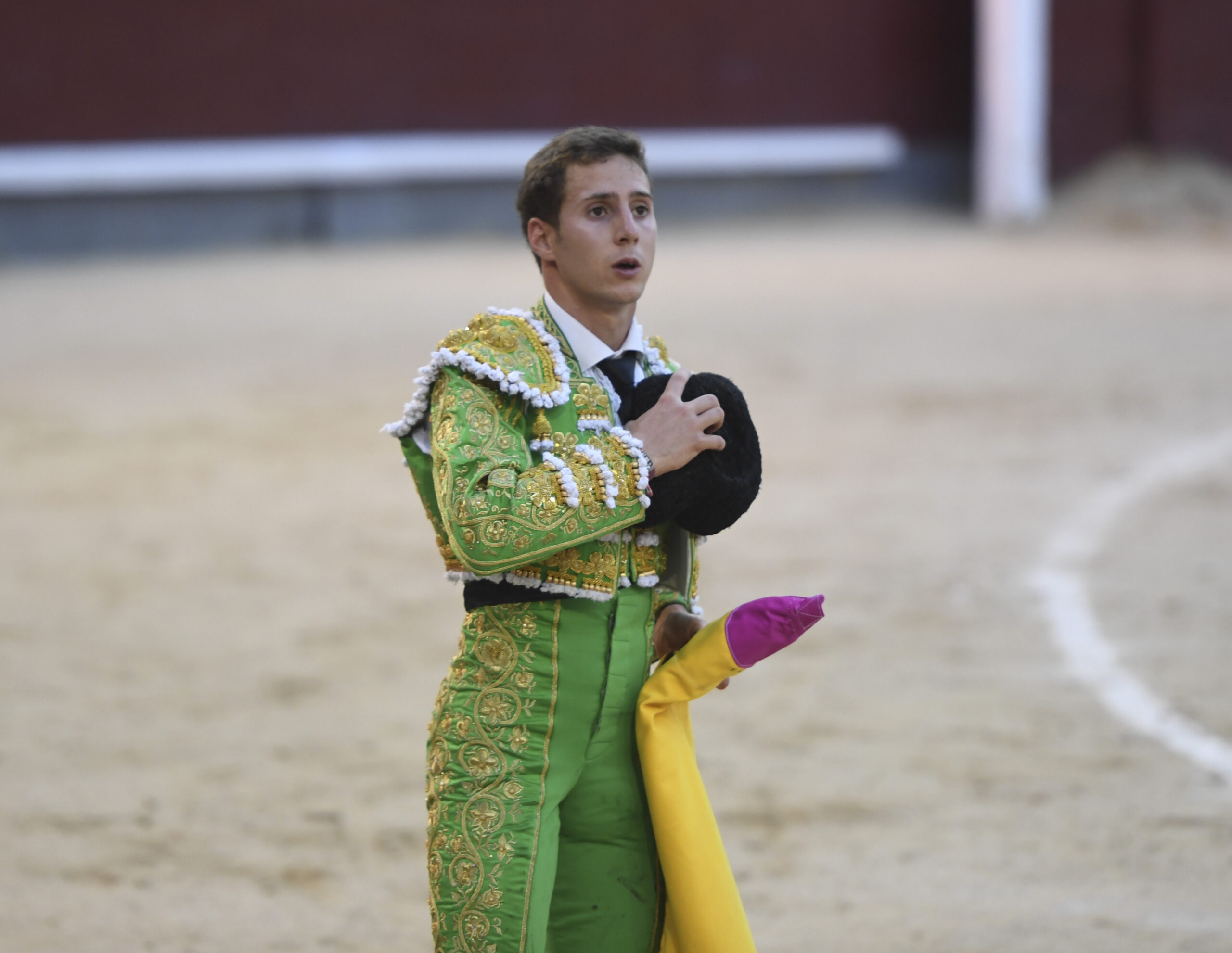 Madrid- Novillada picada - Domingo 3 de septiembre de 2018