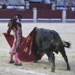 Madrid- Novillada picada - Domingo 3 de septiembre de 2018