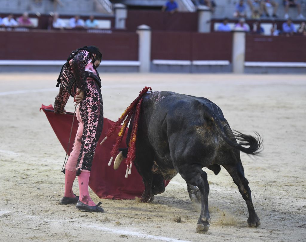 Madrid- Novillada picada - Domingo 3 de septiembre de 2018