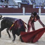 Madrid- Novillada picada - Domingo 3 de septiembre de 2018
