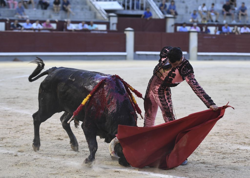 Madrid- Novillada picada - Domingo 3 de septiembre de 2018
