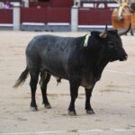 Madrid, 23 de septiembre de 2018