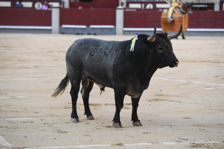 Madrid, 23 de septiembre de 2018