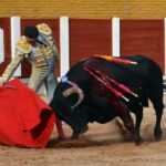 Guadalajara, 14 de septiembre de 2018