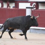 Madrid, 23 de septiembre de 2018