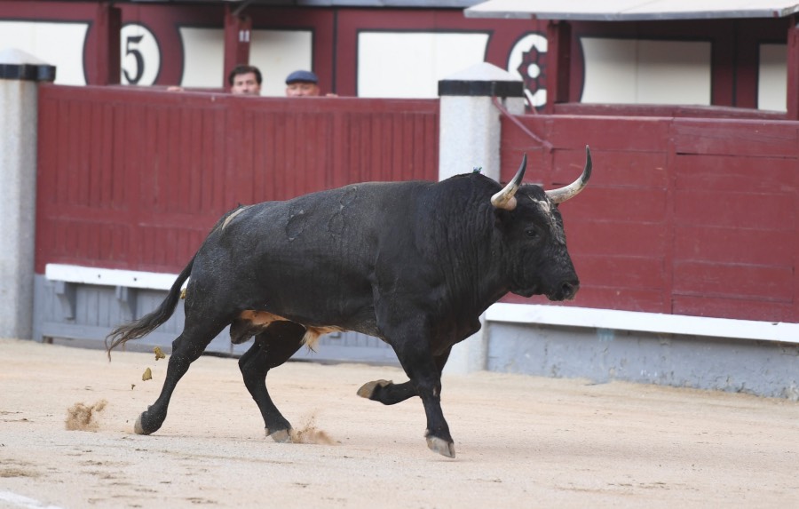 Madrid, 23 de septiembre de 2018