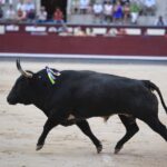 Madrid, 23 de septiembre de 2018