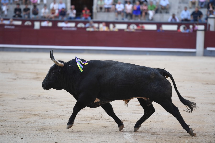 Madrid, 23 de septiembre de 2018