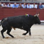 Madrid, 23 de septiembre de 2018