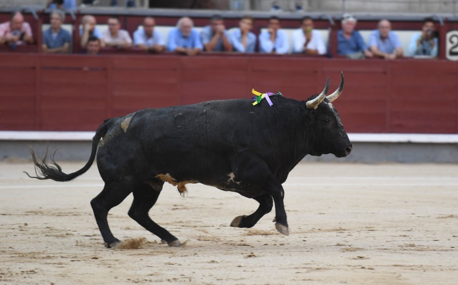 Madrid, 23 de septiembre de 2018
