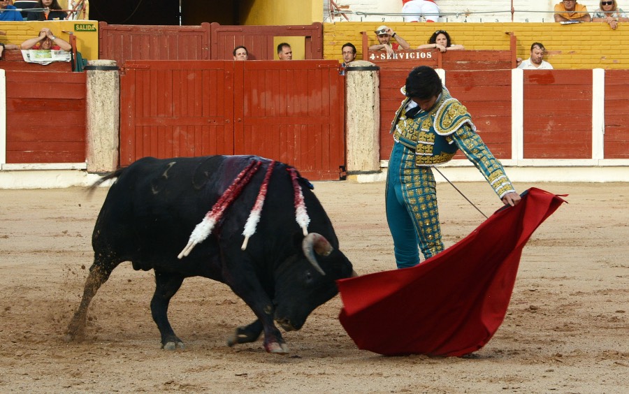 Guadalajara, 14 de septiembre de 2018