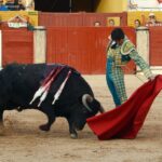 Guadalajara, 14 de septiembre de 2018