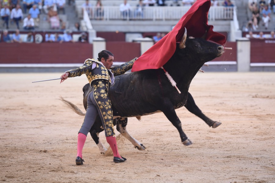 Madrid, 23 de septiembre de 2018