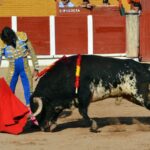 Guadalajara, 15 de septiembre de 2018