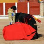 Guadalajara, 15 de septiembre de 2018