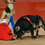 Guadalajara, 15 de septiembre de 2018