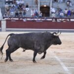 Madrid, 23 de septiembre de 2018