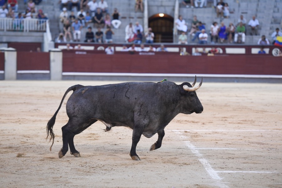 Madrid, 23 de septiembre de 2018