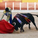 Guadalajara, 15 de septiembre de 2018