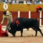 Guadalajara, 15 de septiembre de 2018