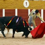 Guadalajara, 15 de septiembre de 2018