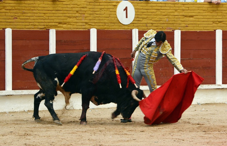 Guadalajara, 15 de septiembre de 2018