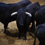 Sorteo, Logroño 22 de septiembre de 2018