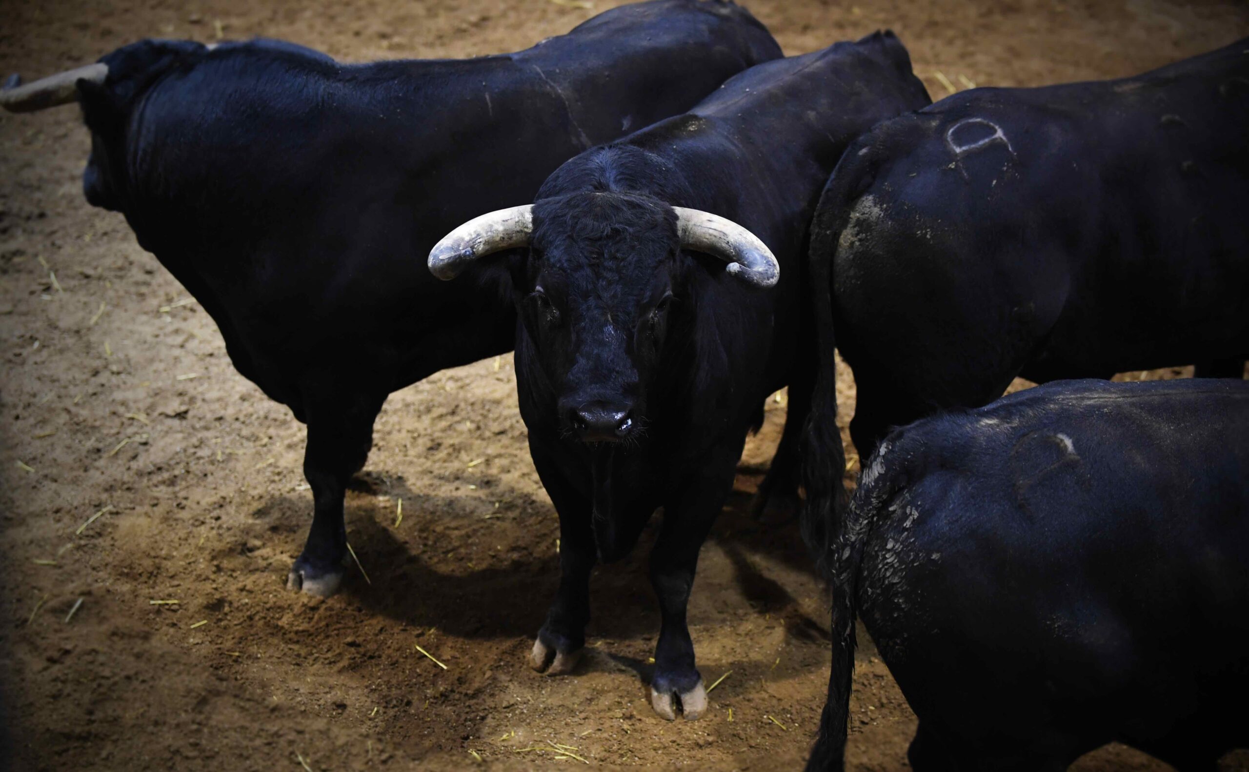 Sorteo, Logroño 22 de septiembre de 2018