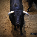 Sorteo, Logroño 22 de septiembre de 2018