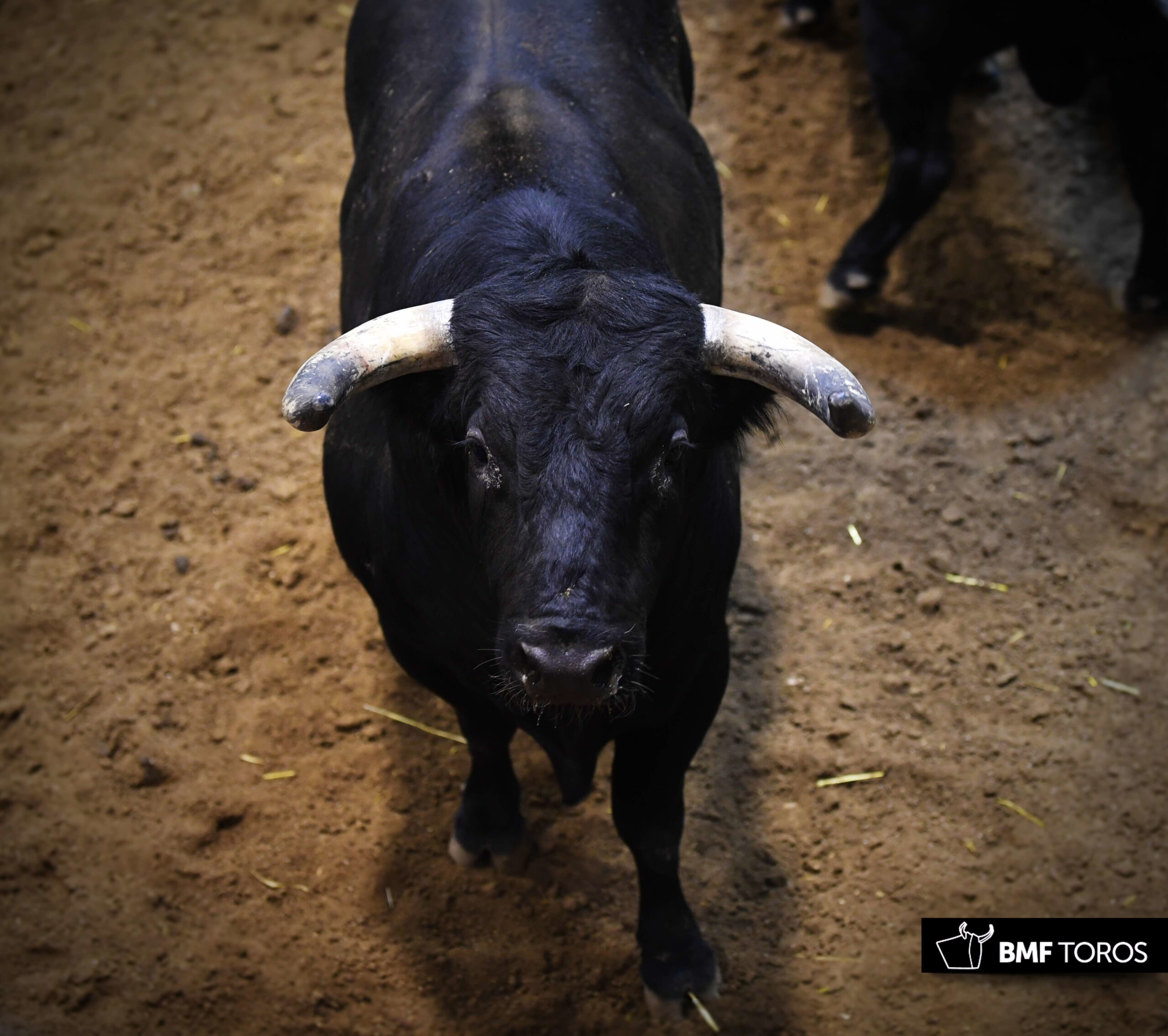 Sorteo, Logroño 22 de septiembre de 2018