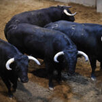 Sorteo, Logroño 22 de septiembre de 2018