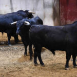 Sorteo, Logroño 22 de septiembre de 2018