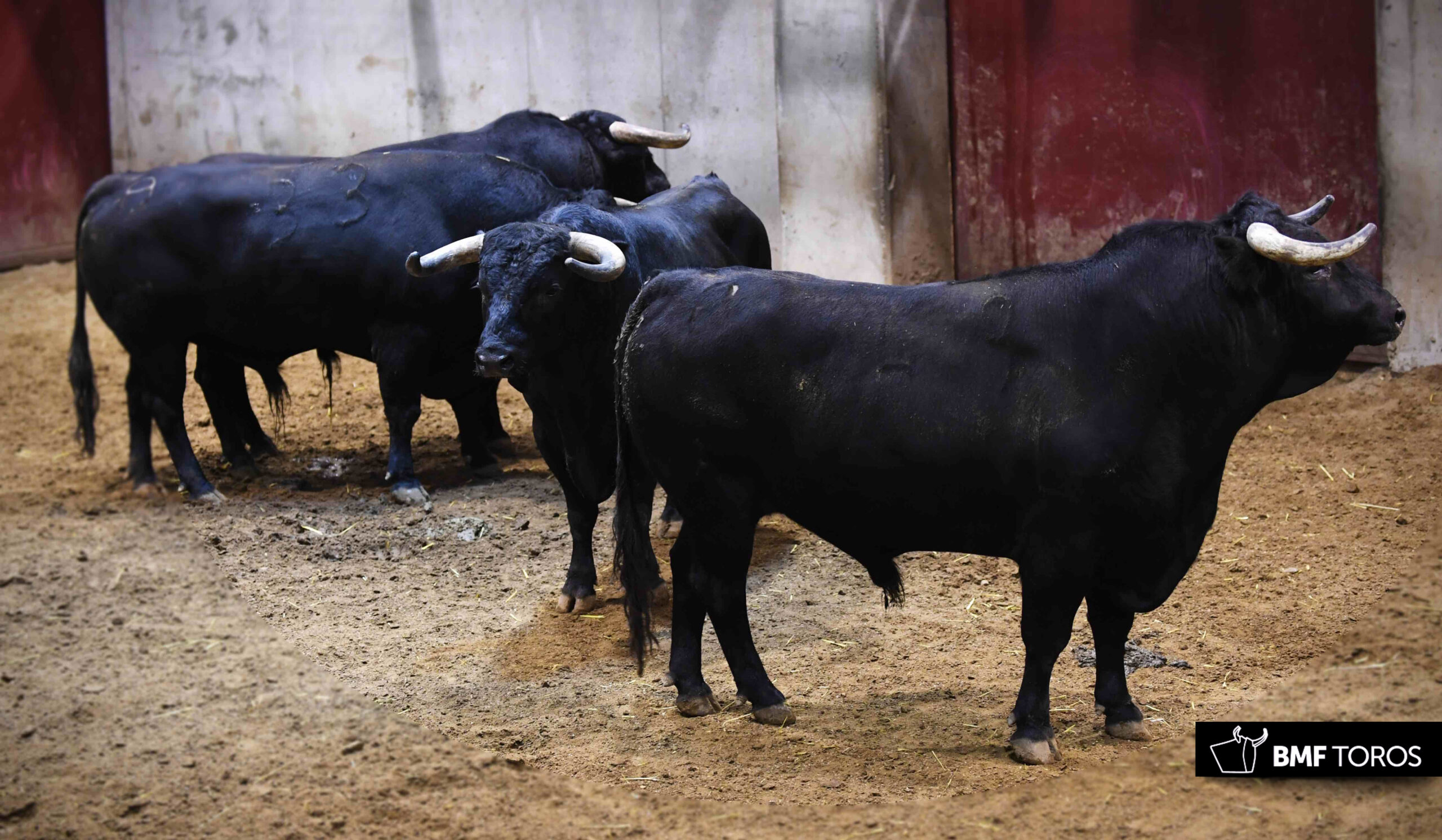 Sorteo, Logroño 22 de septiembre de 2018