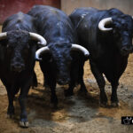 Sorteo, Logroño 22 de septiembre de 2018