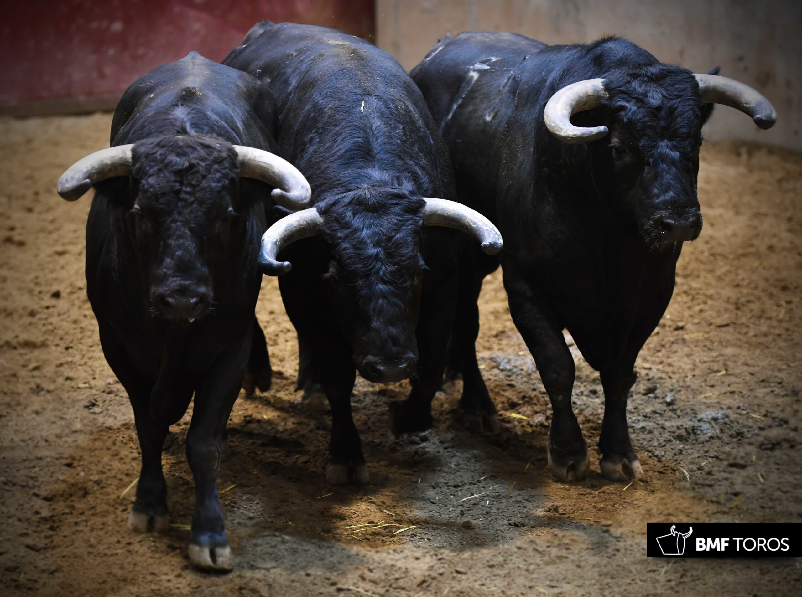 Sorteo, Logroño 22 de septiembre de 2018