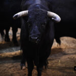 Sorteo, Logroño 22 de septiembre de 2018