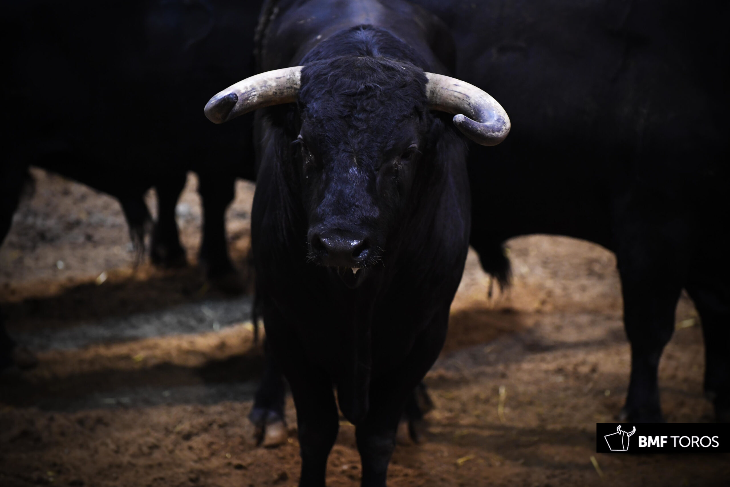 Sorteo, Logroño 22 de septiembre de 2018