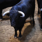 Sorteo, Logroño 22 de septiembre de 2018