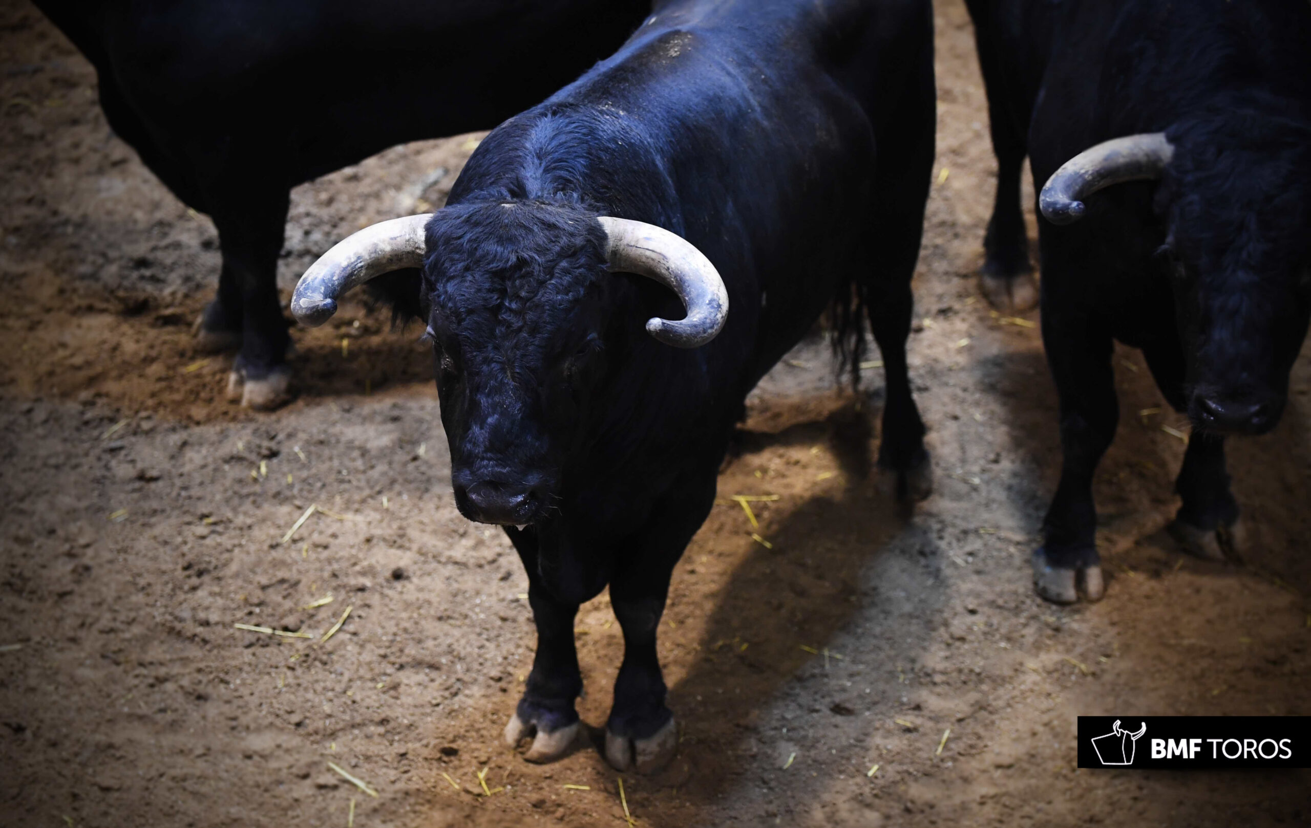 Sorteo, Logroño 22 de septiembre de 2018