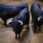 Sorteo, Logroño 22 de septiembre de 2018