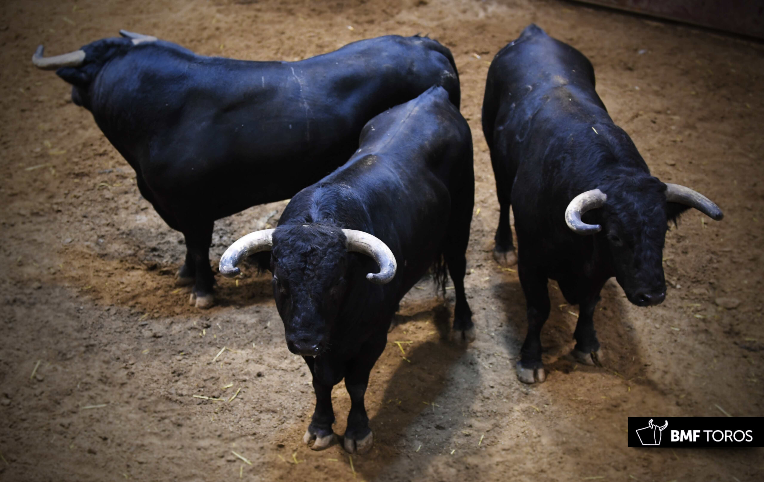 Sorteo, Logroño 22 de septiembre de 2018