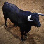 Sorteo, Logroño 22 de septiembre de 2018