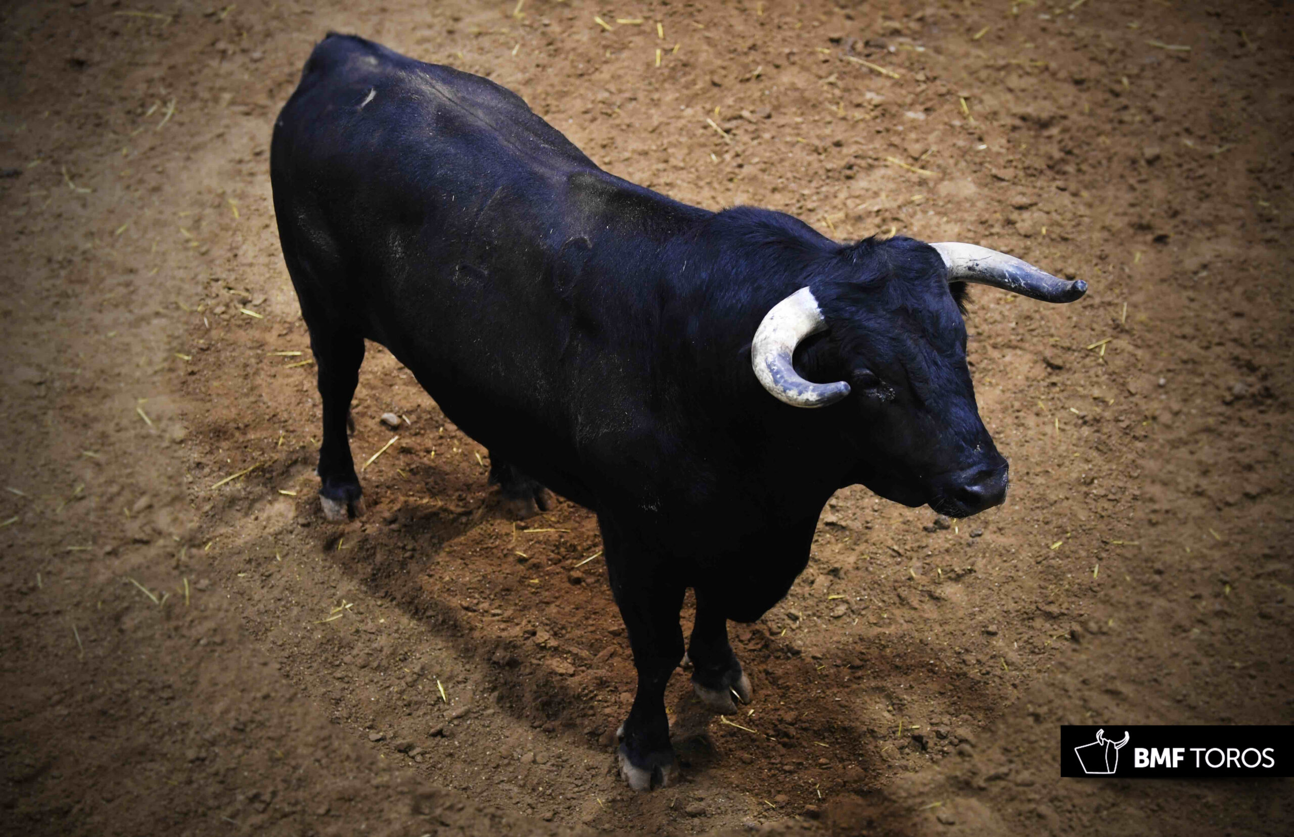 Sorteo, Logroño 22 de septiembre de 2018