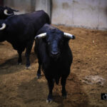 Sorteo, Logroño 22 de septiembre de 2018